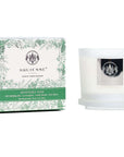 Monterey Pine 5 oz. candle by Aquiesse, featuring a festive box with pine and eucalyptus scent.