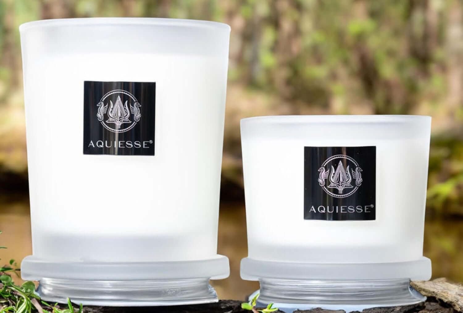 Aquiesse Winter Currant Candles in frosted glass jars with elegant branding, set against a natural background.