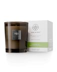 Aquiesse Cherimoya Candle with green leaf and pineapple scent, presented in an elegant glass jar with packaging.