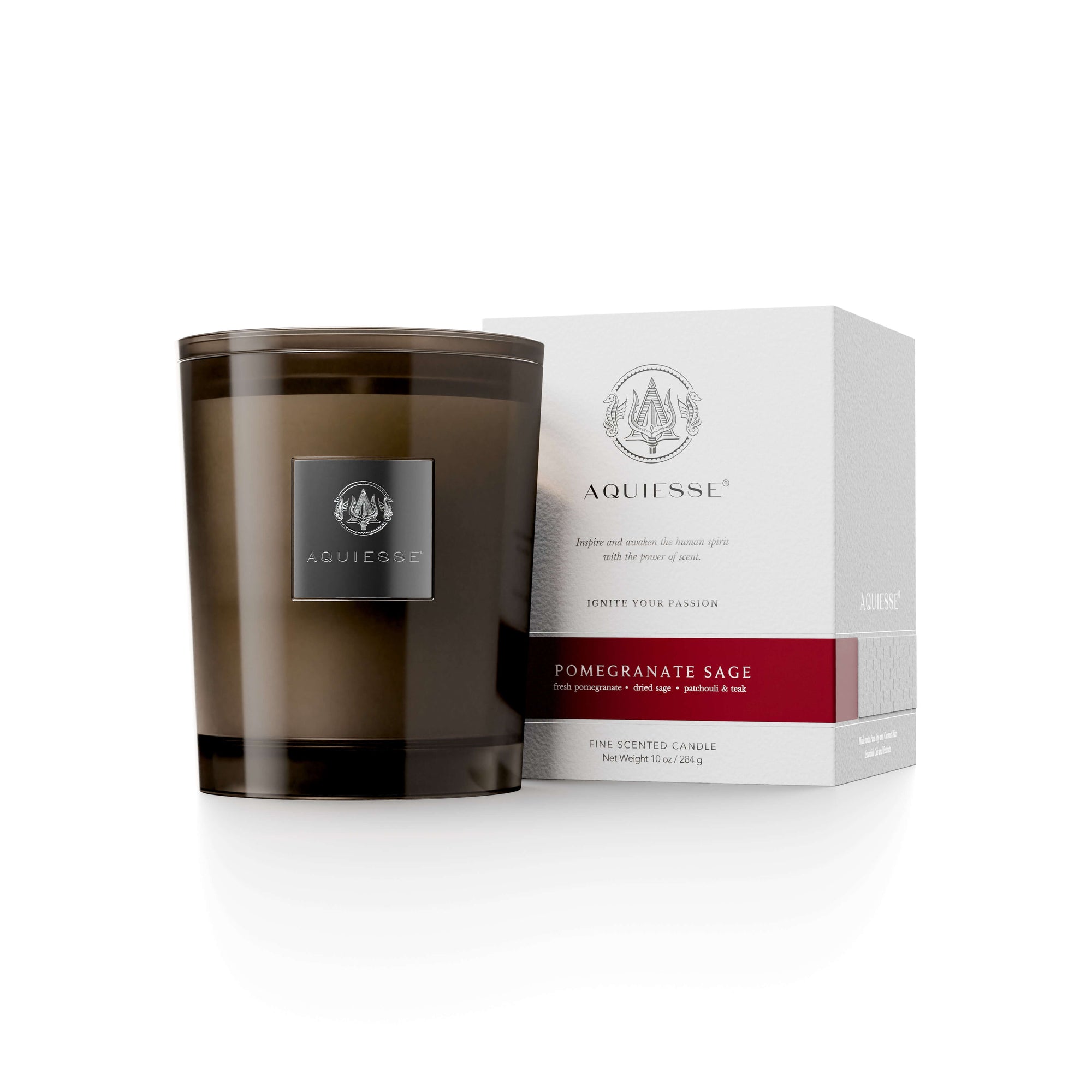 Pomegranate Sage candle by Aquiesse with fresh pomegranate, sage, patchouli, and teak, perfect for a spa-like experience.